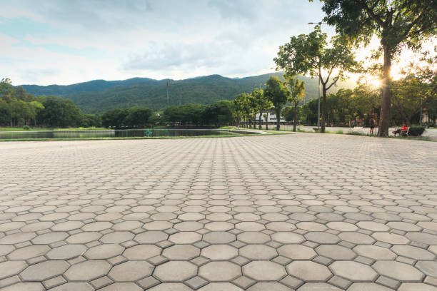 Best Interlocking Driveway Pavers  in Manchester, WA